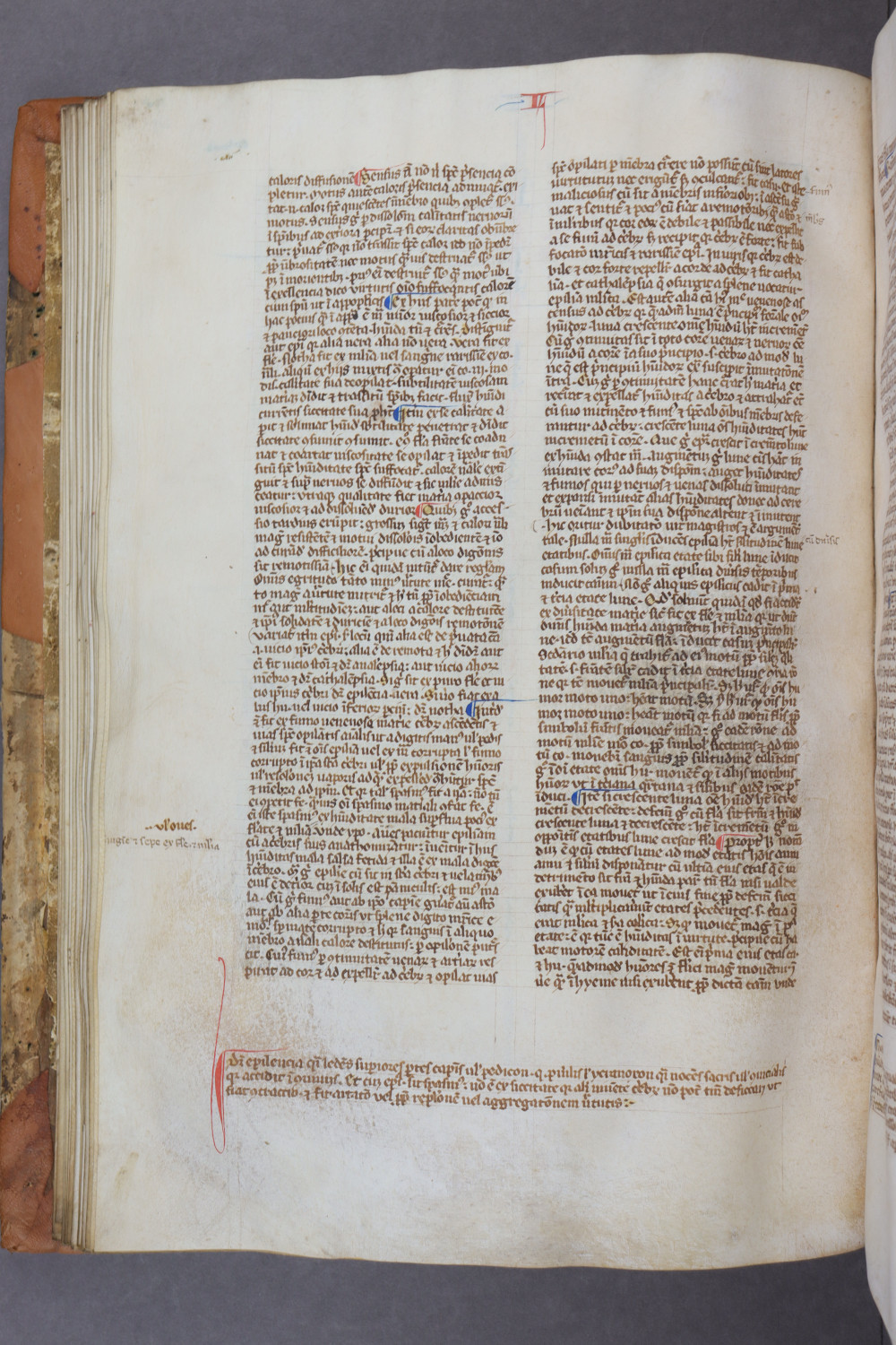 Folio 49 verso